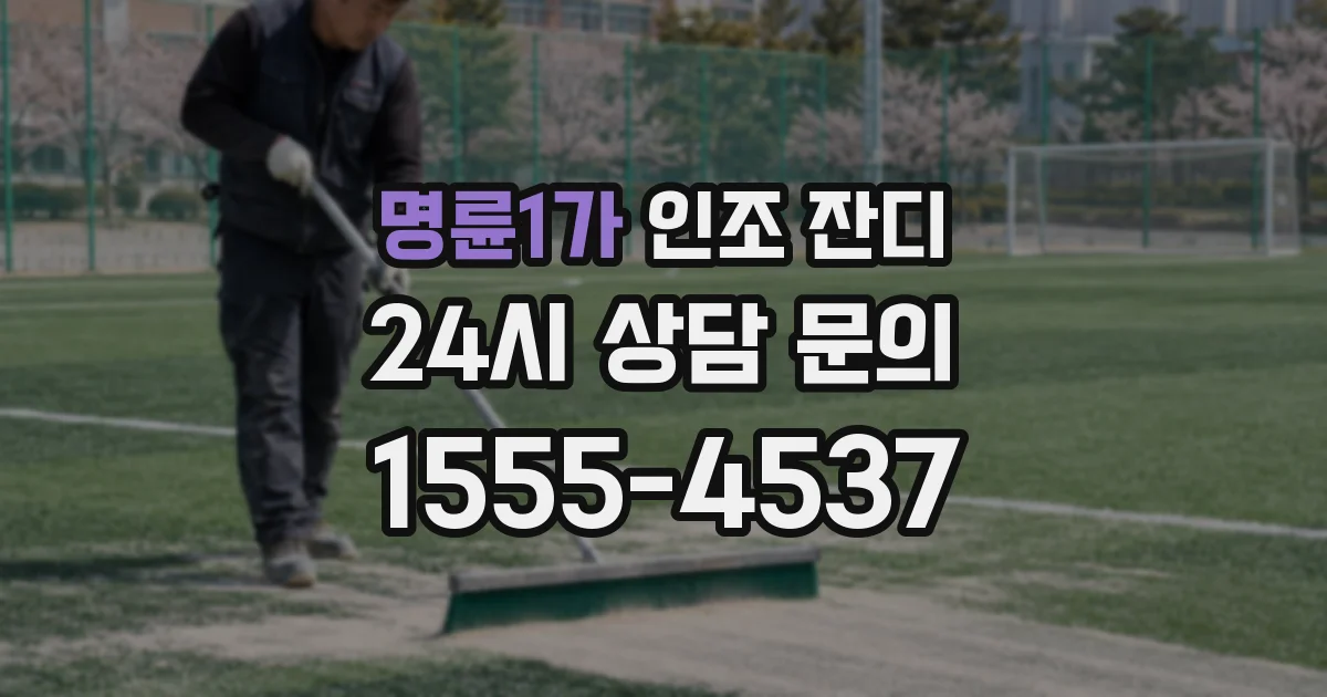 명륜1가 인조 잔디