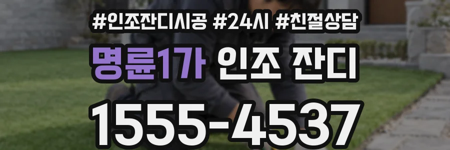 명륜1가 인조 잔디