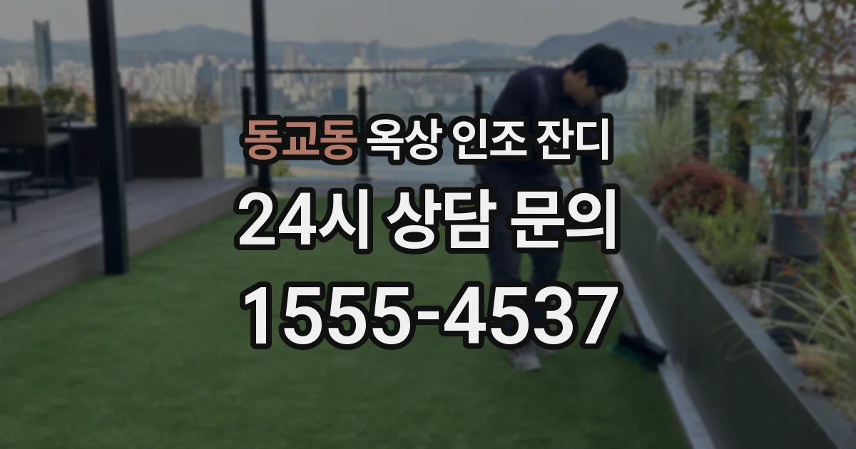 동교동 옥상 인조 잔디