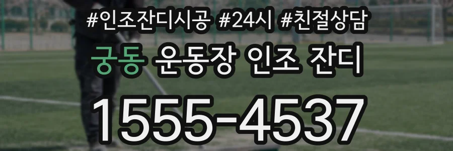 궁동 운동장 인조 잔디