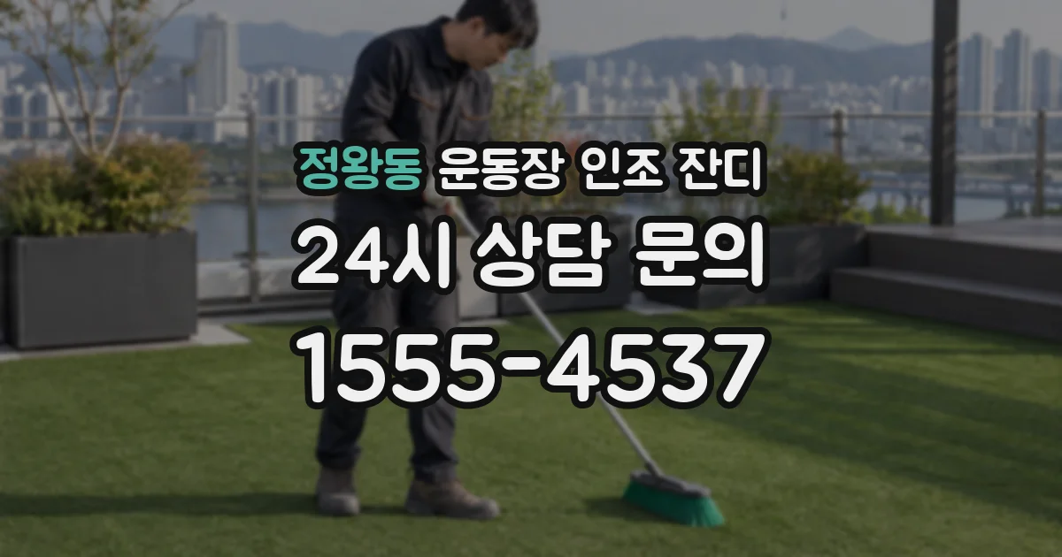 정왕동 운동장 인조 잔디