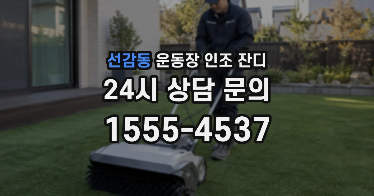 선감동 운동장 인조 잔디
