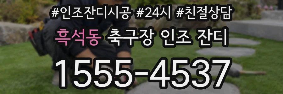 흑석동 축구장 인조 잔디