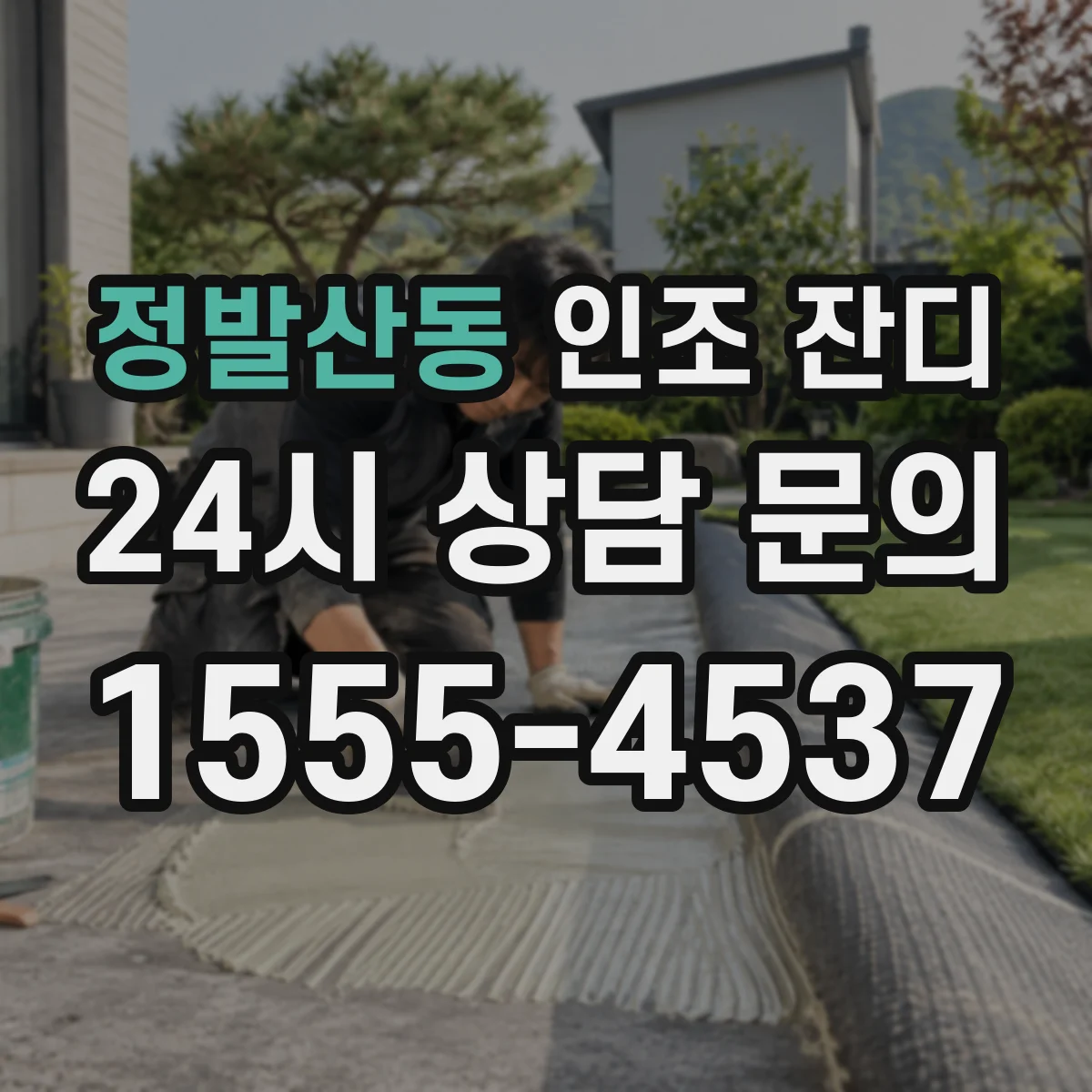 정발산동 인조 잔디