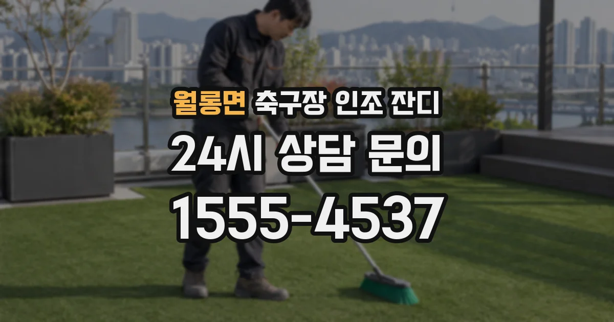 월롱면 축구장 인조 잔디