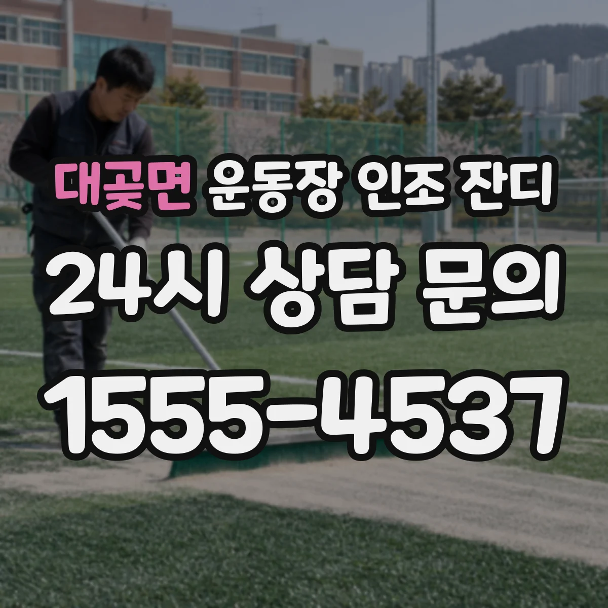 대곶면 운동장 인조 잔디