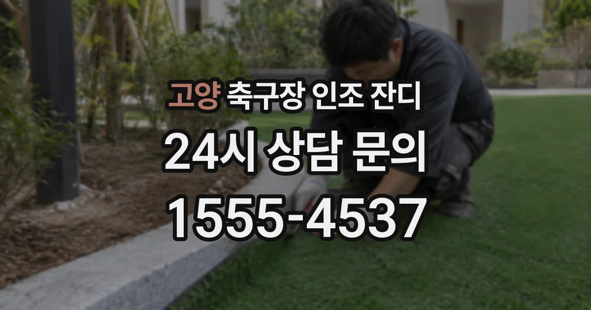 고양 축구장 인조 잔디