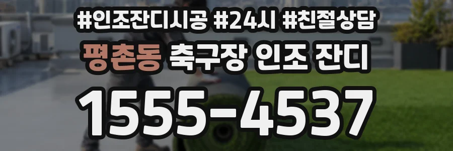 평촌동 축구장 인조 잔디