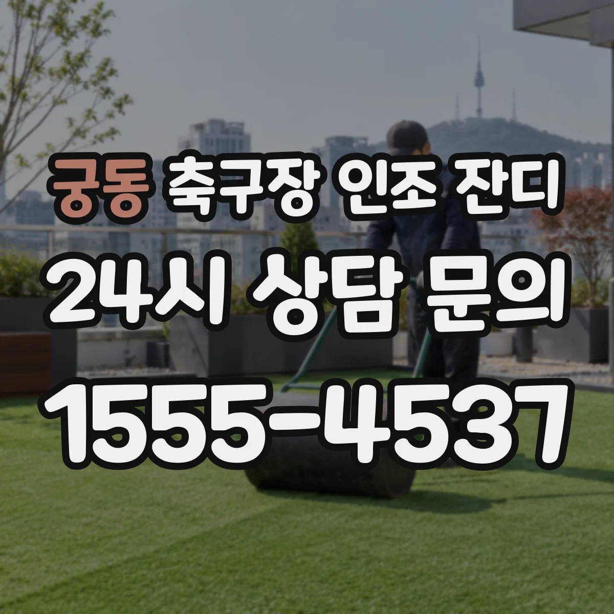 궁동 축구장 인조 잔디