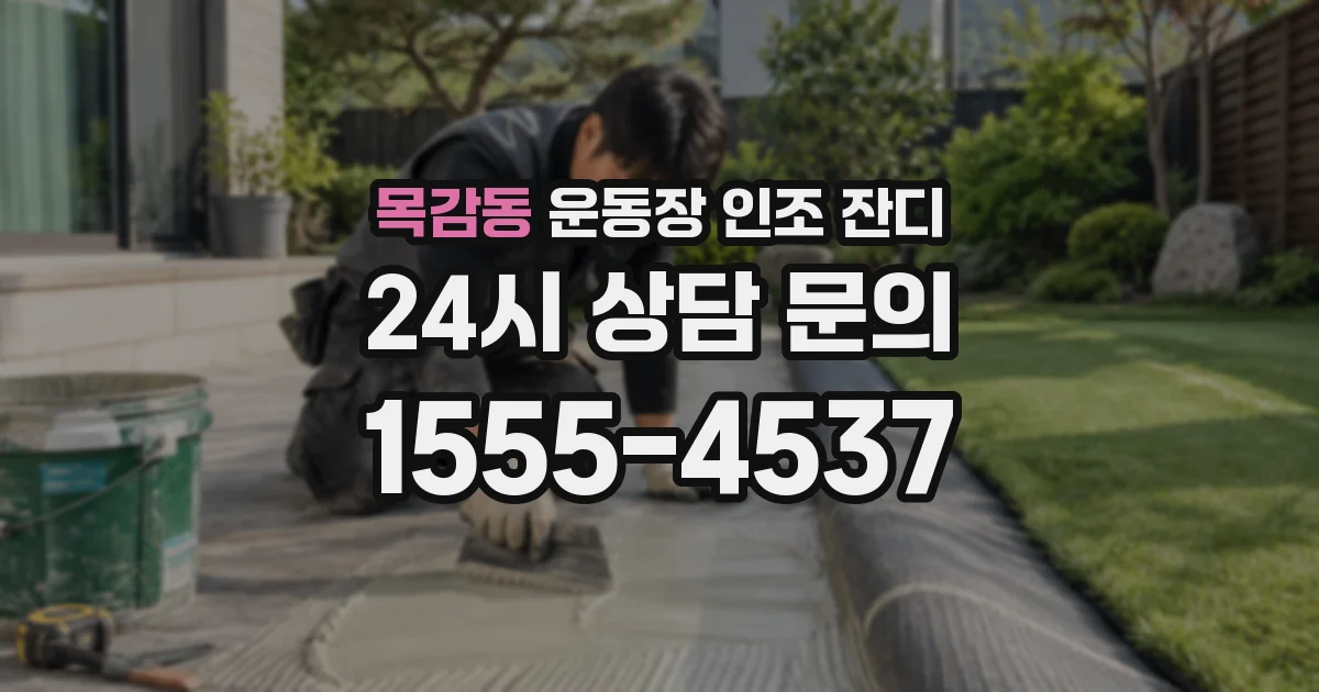목감동 운동장 인조 잔디