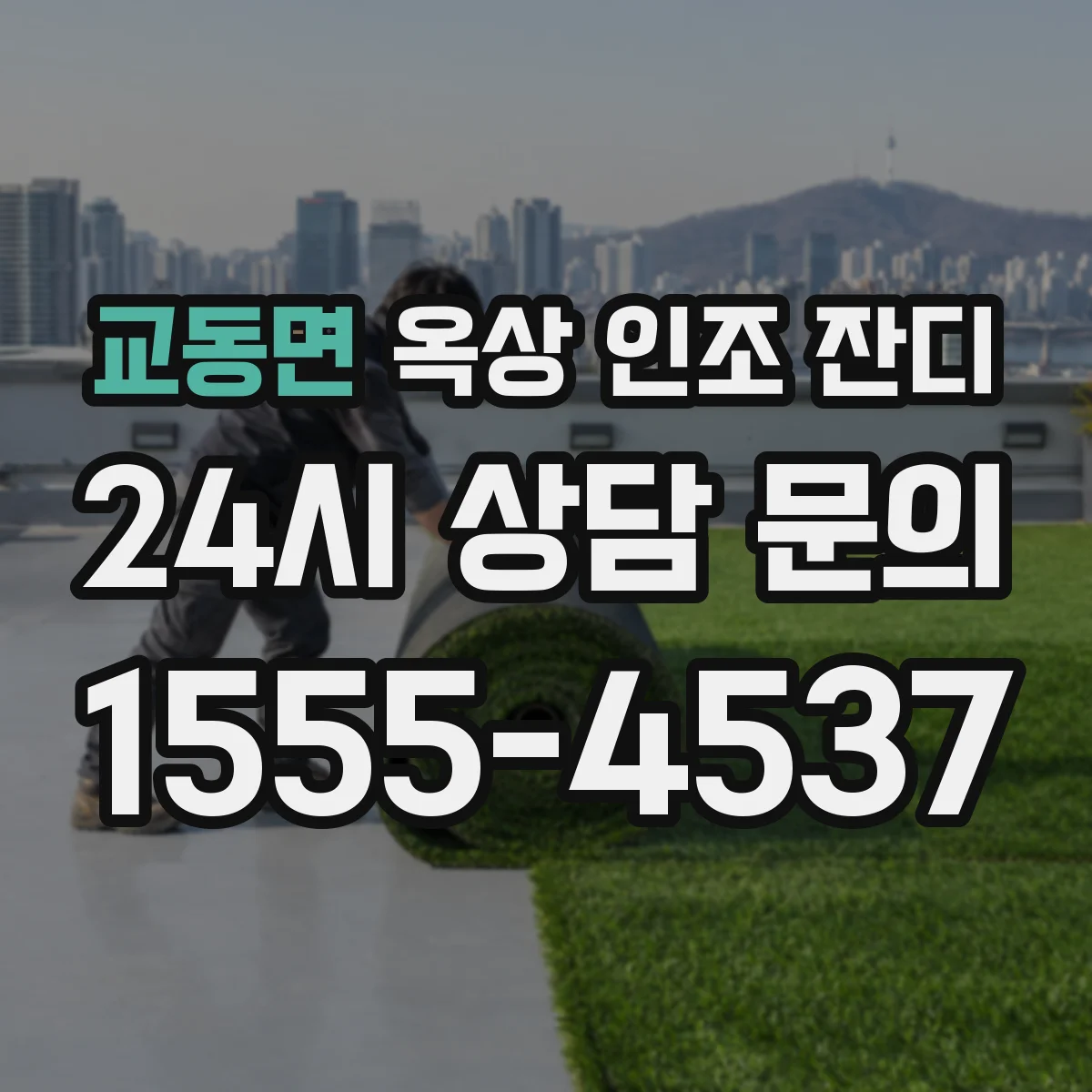 교동면 옥상 인조 잔디