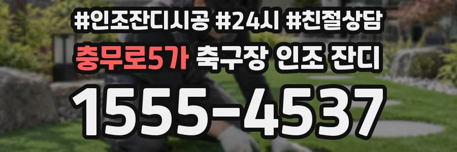 충무로5가 축구장 인조 잔디