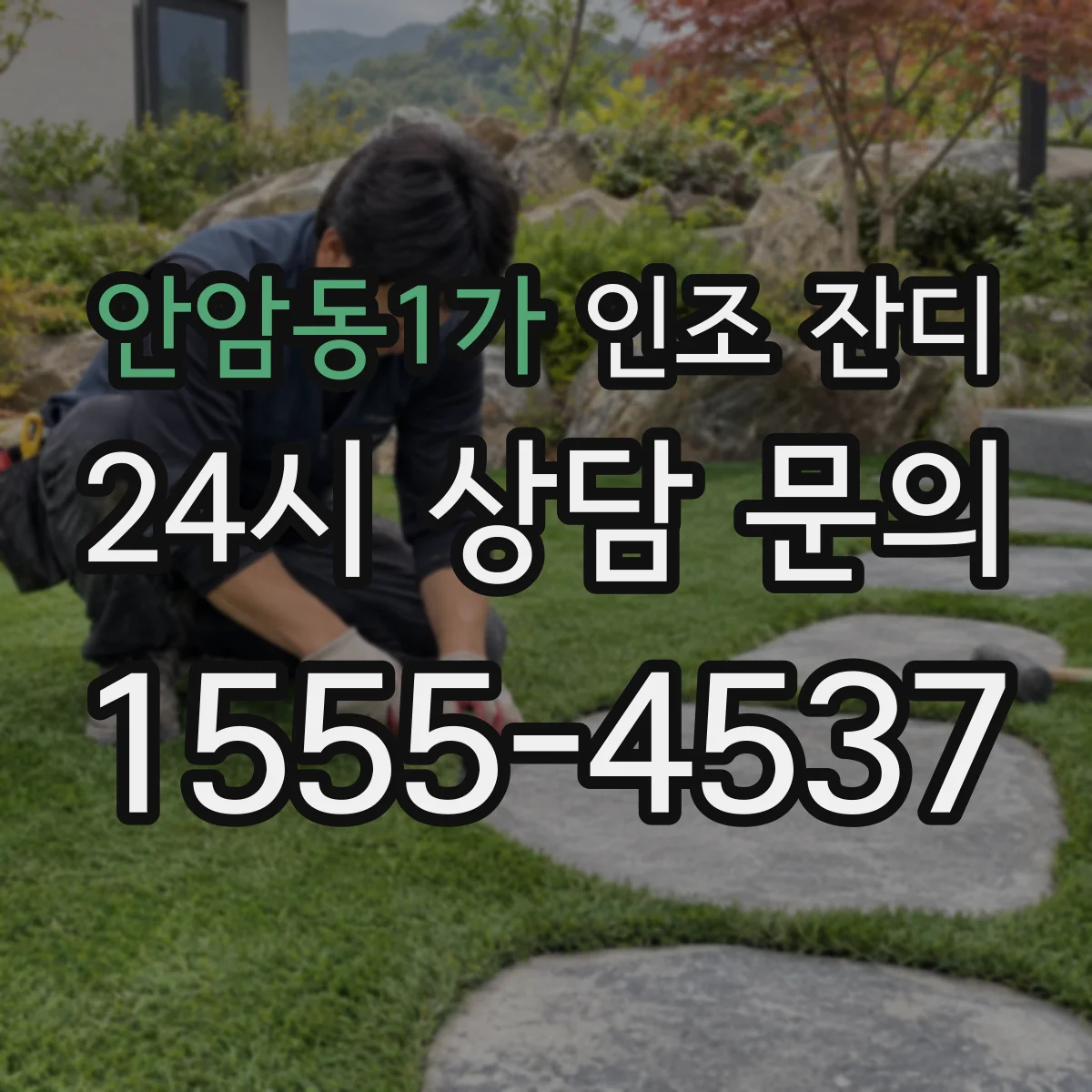 안암동1가 인조 잔디