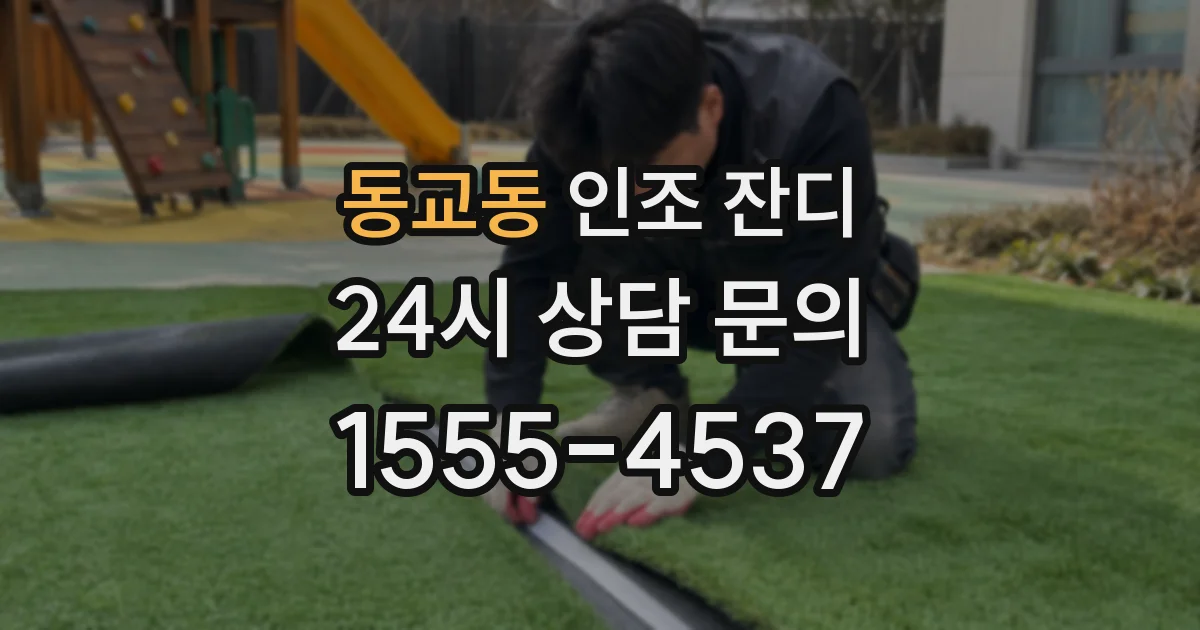 동교동 인조 잔디