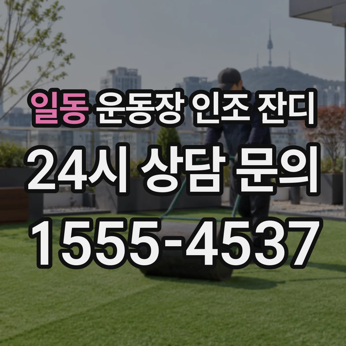 일동 운동장 인조 잔디