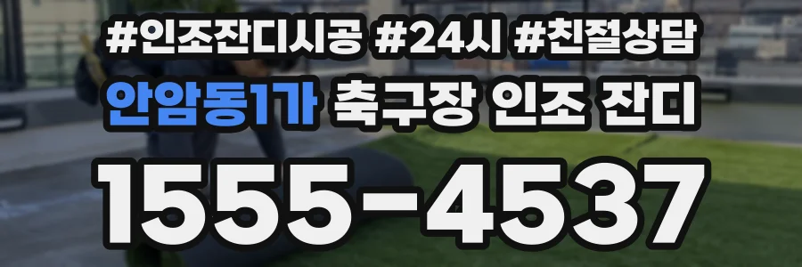 안암동1가 축구장 인조 잔디
