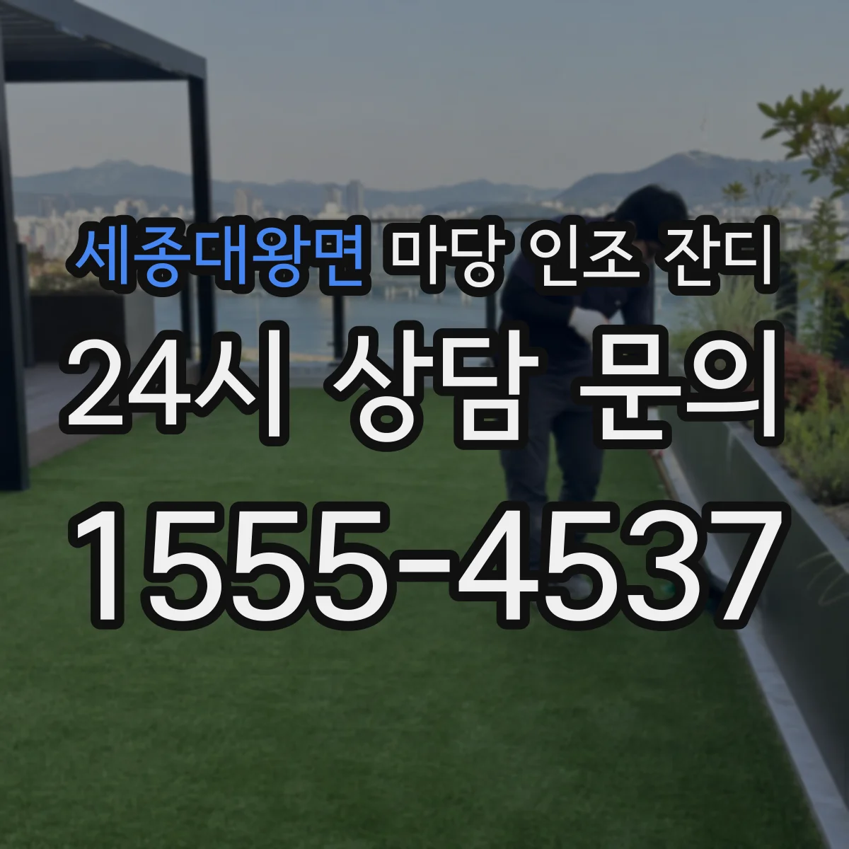 세종대왕면 마당 인조 잔디