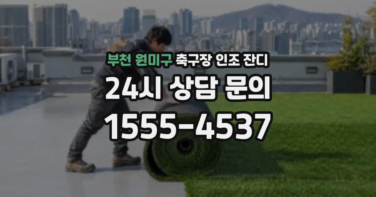 부천 원미구 축구장 인조 잔디