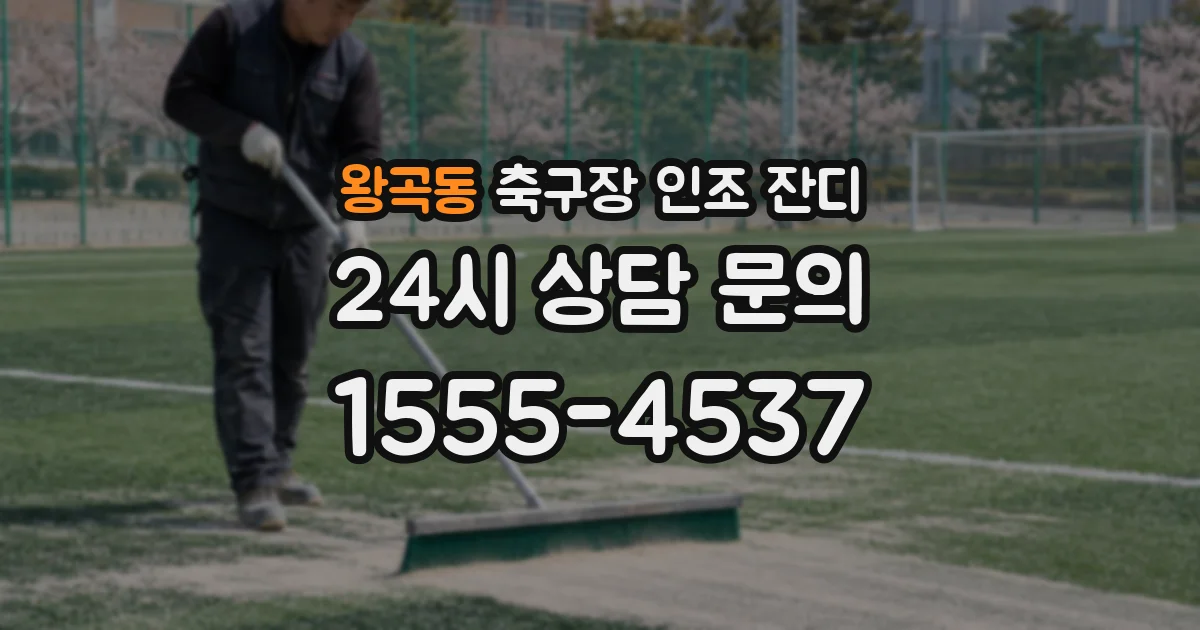 왕곡동 축구장 인조 잔디