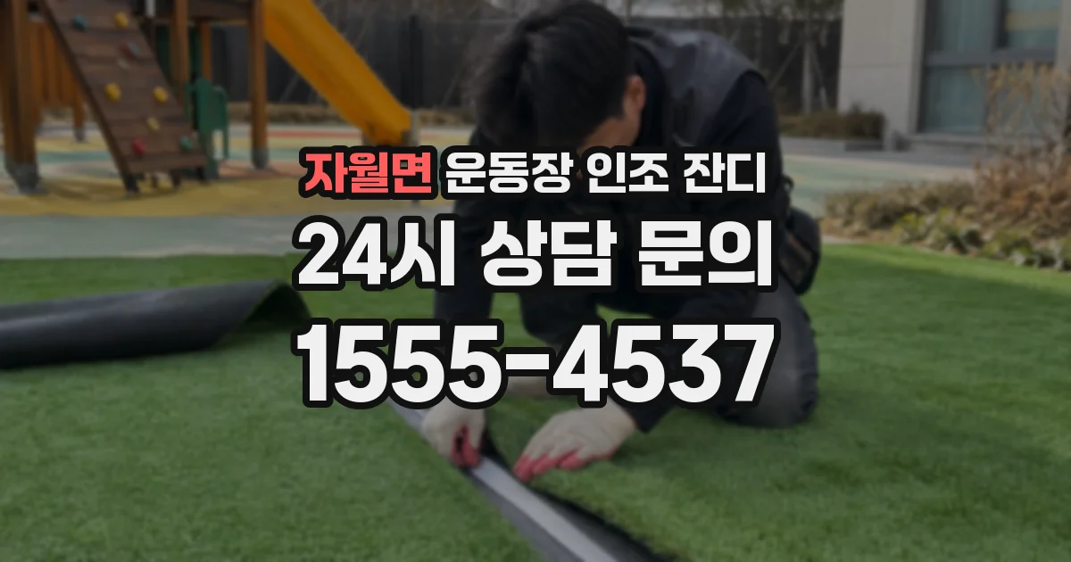 자월면 운동장 인조 잔디