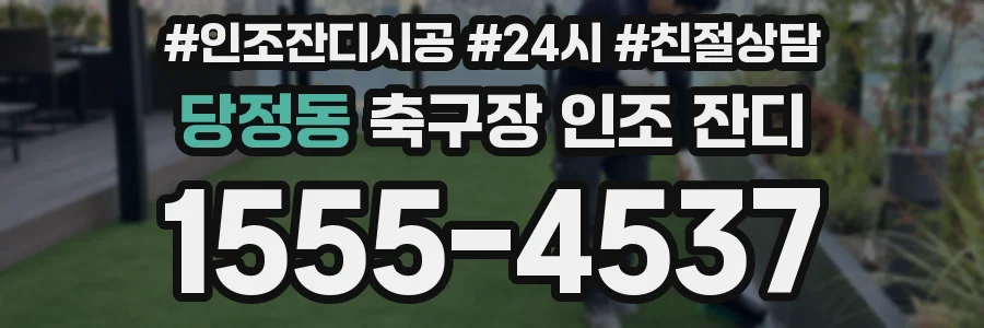 당정동 축구장 인조 잔디