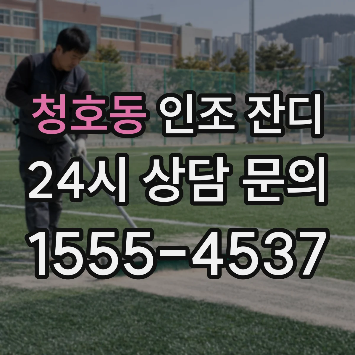 청호동 인조 잔디