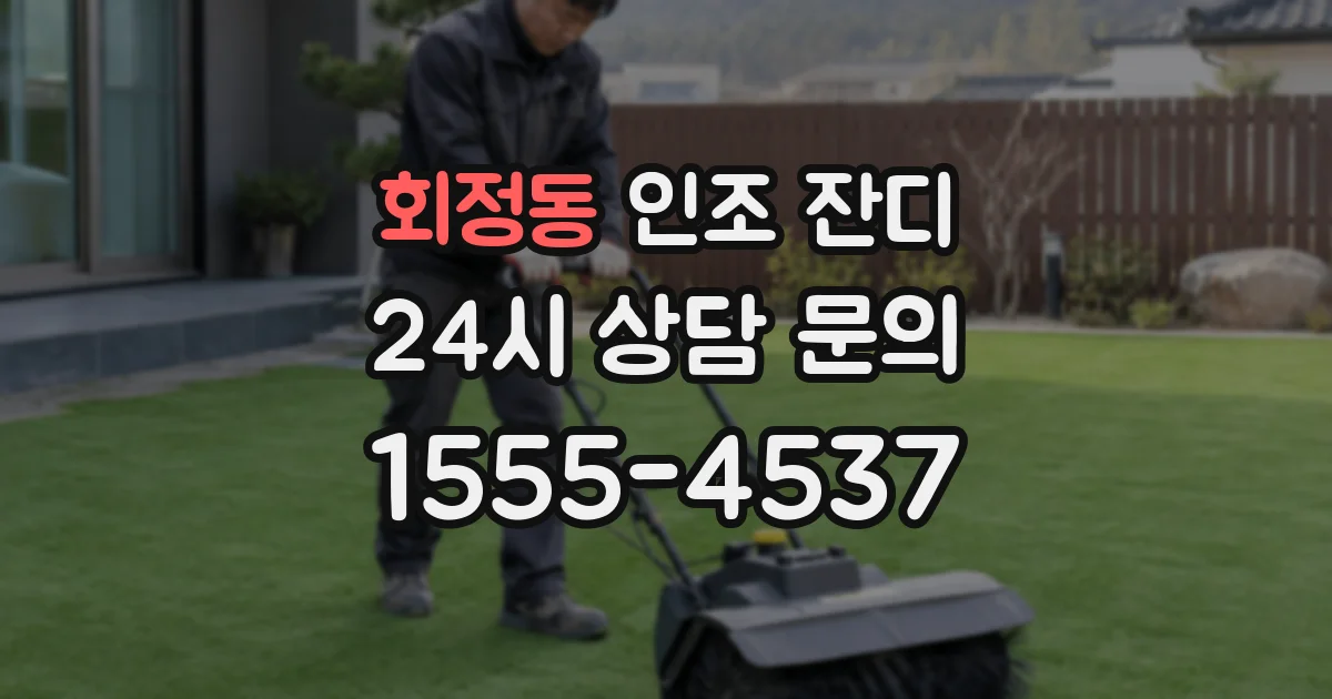 회정동 인조 잔디