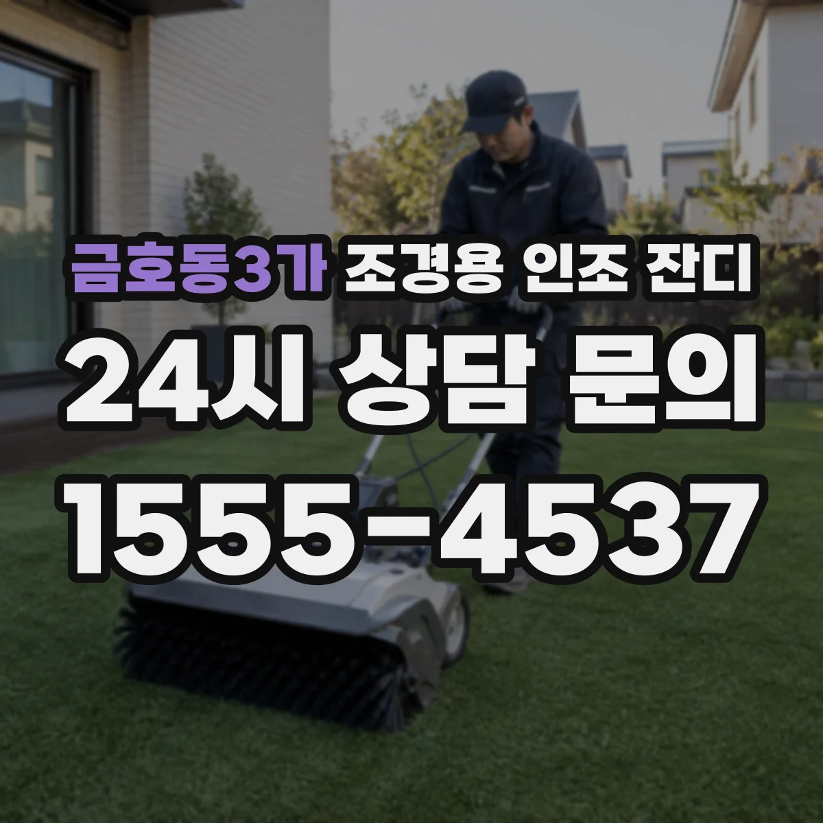 금호동3가 조경용 인조 잔디