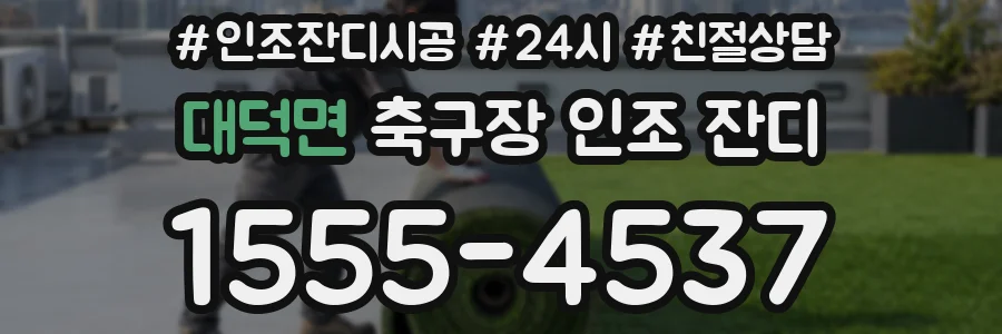 대덕면 축구장 인조 잔디