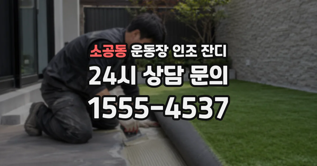 소공동 운동장 인조 잔디