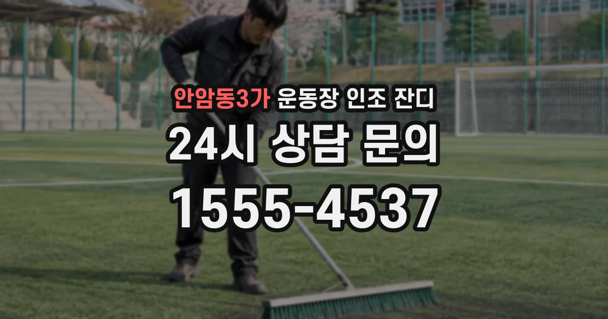 안암동3가 운동장 인조 잔디