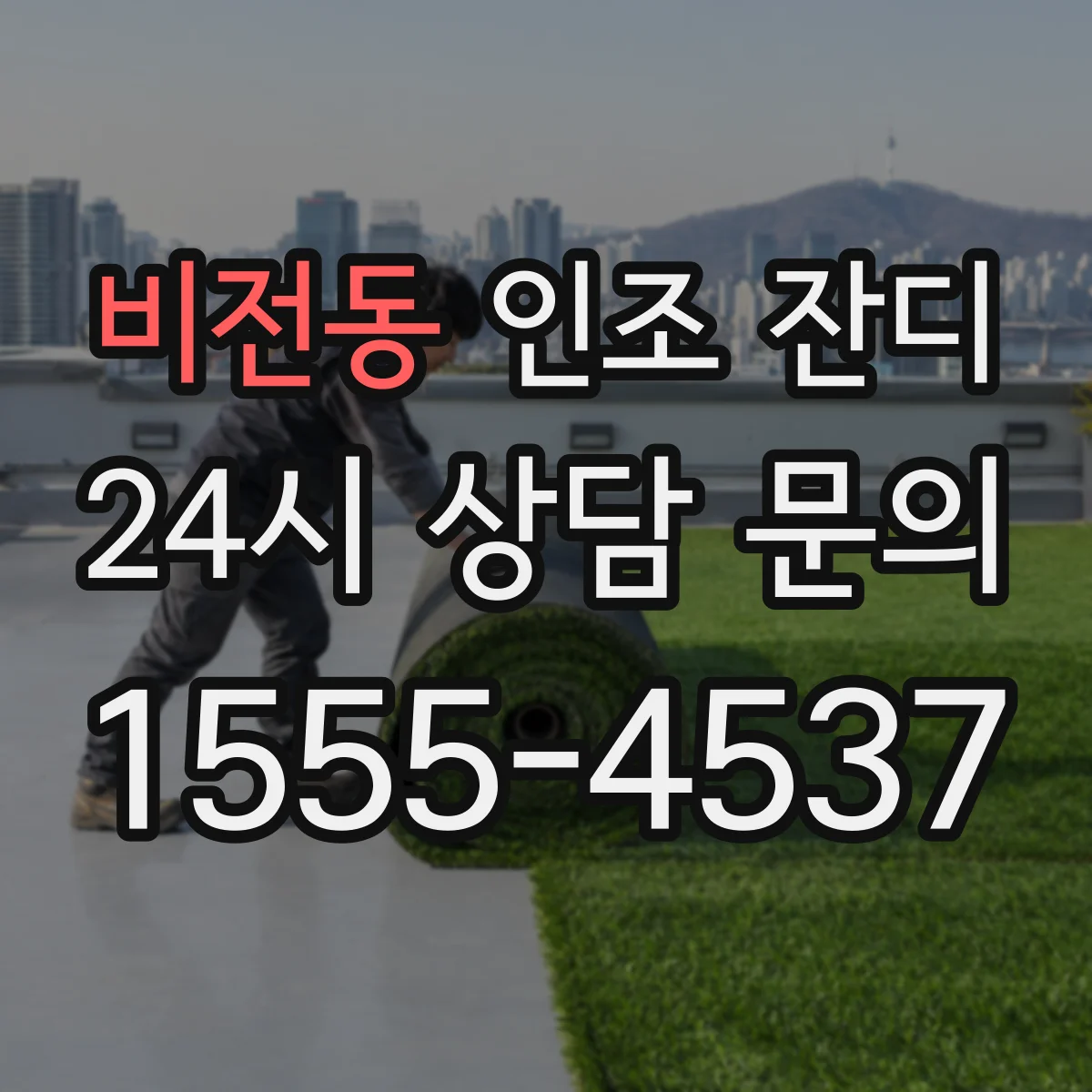 비전동 인조 잔디