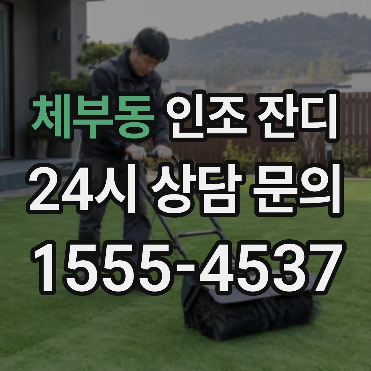 체부동 인조 잔디