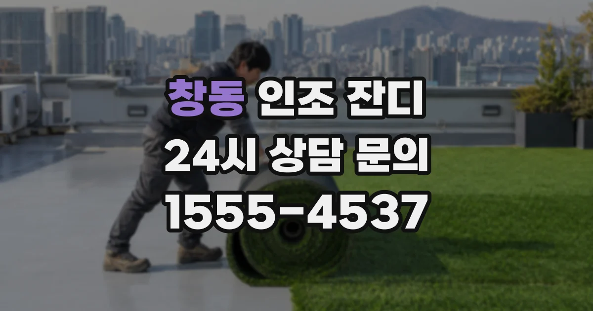 창동 인조 잔디