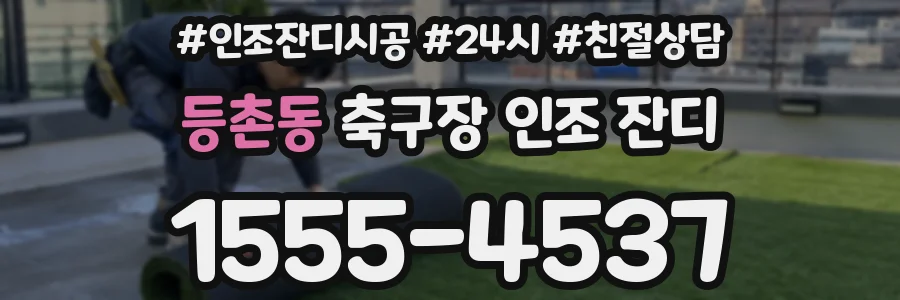 등촌동 축구장 인조 잔디
