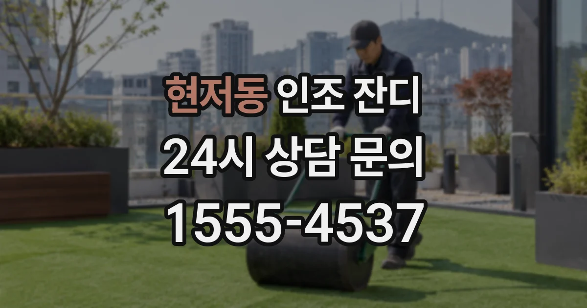 현저동 인조 잔디