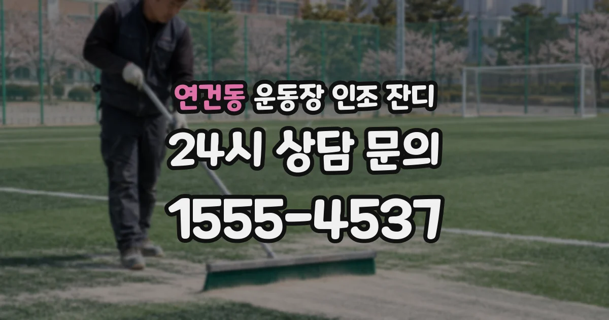 연건동 운동장 인조 잔디