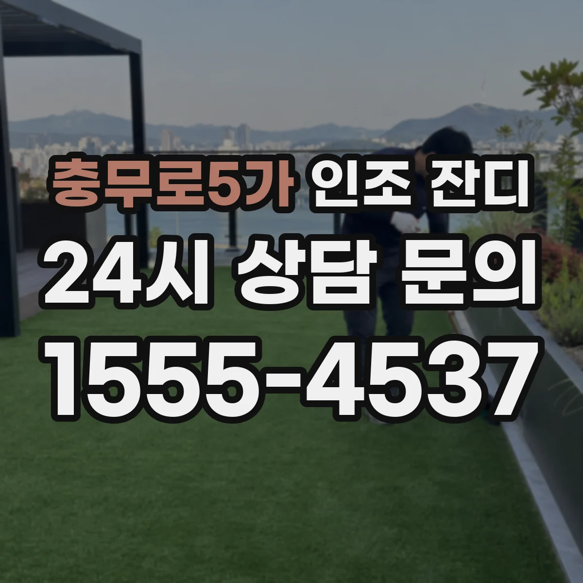 충무로5가 인조 잔디