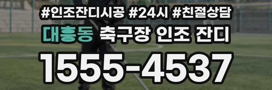 대흥동 축구장 인조 잔디