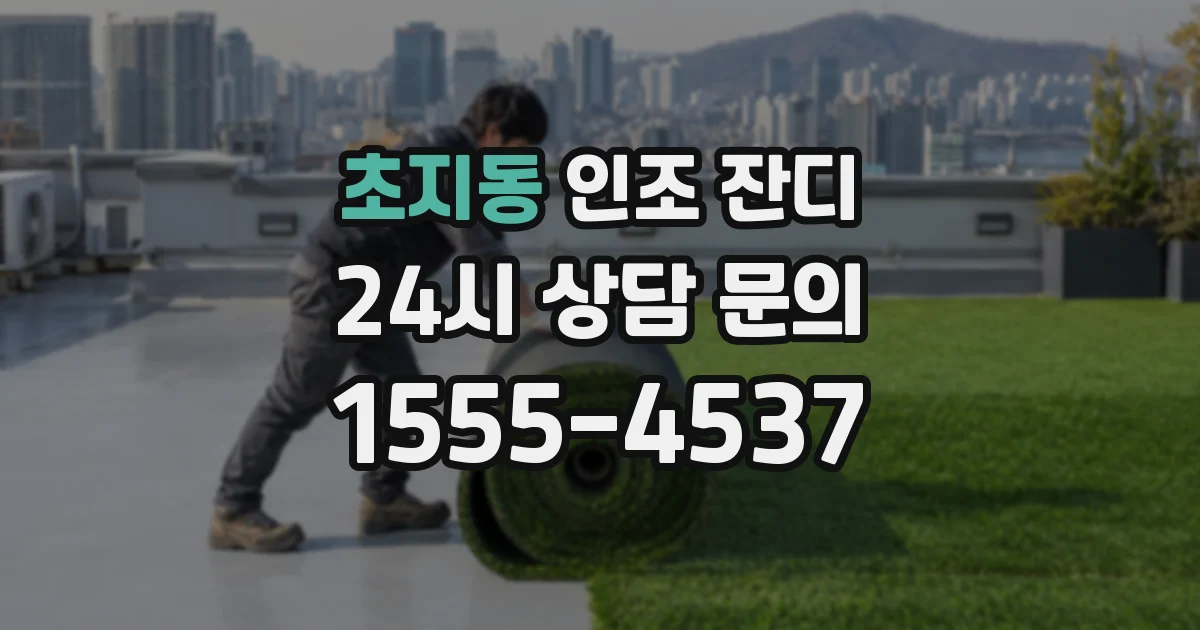 초지동 인조 잔디