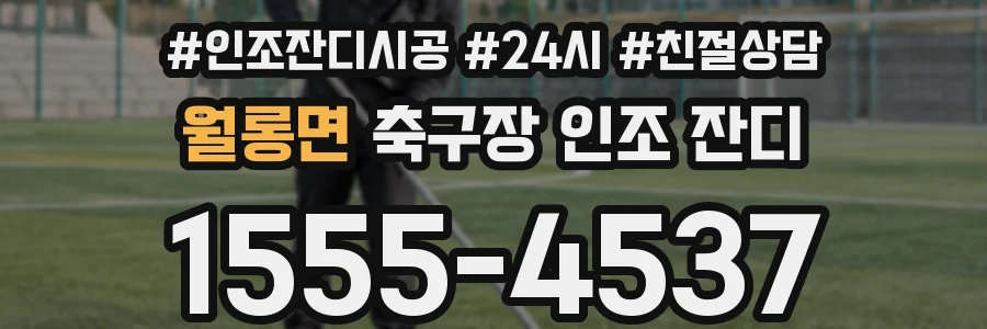 월롱면 축구장 인조 잔디