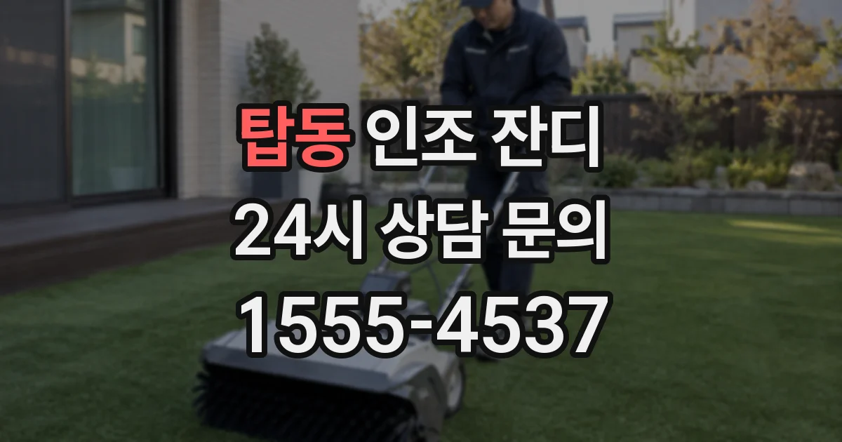 탑동 인조 잔디
