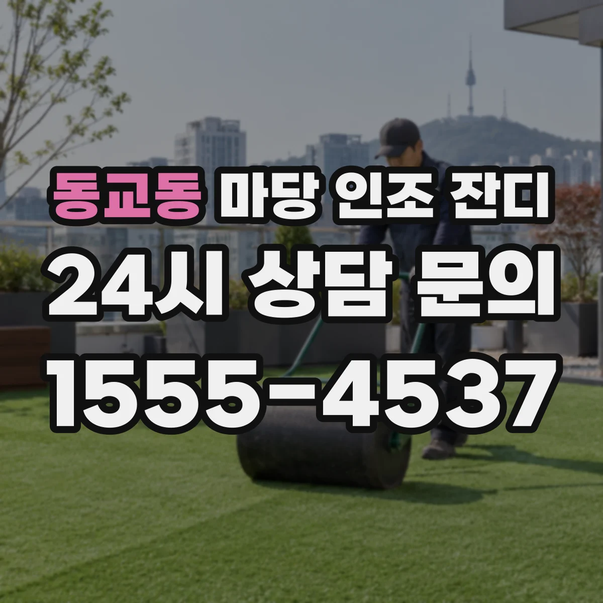 동교동 마당 인조 잔디