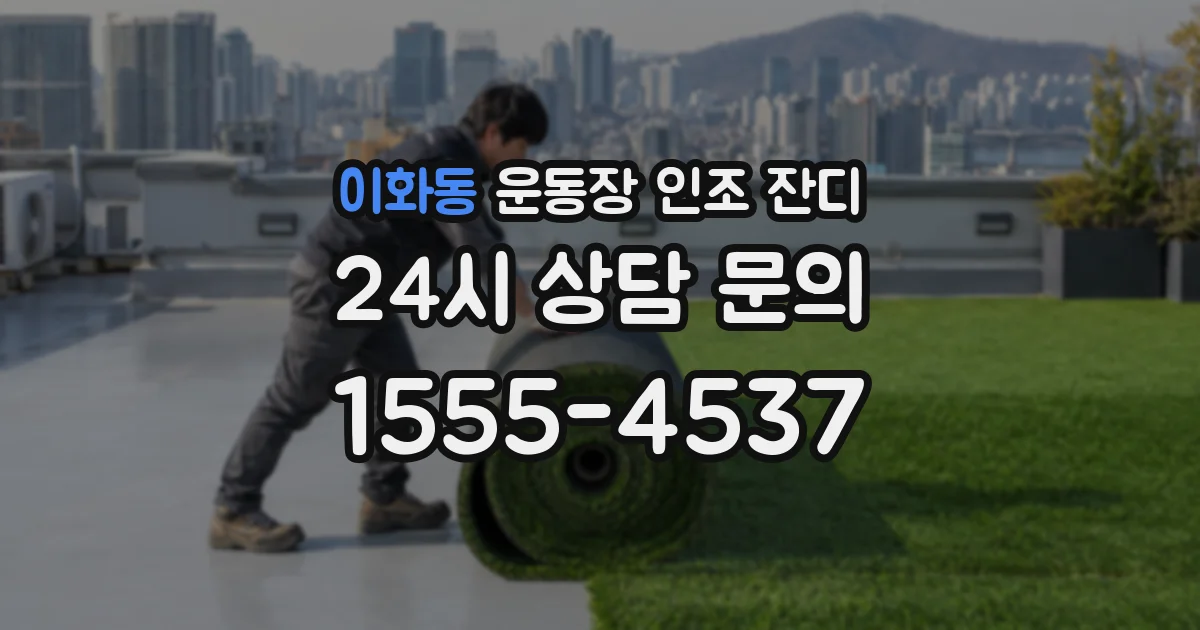 이화동 운동장 인조 잔디