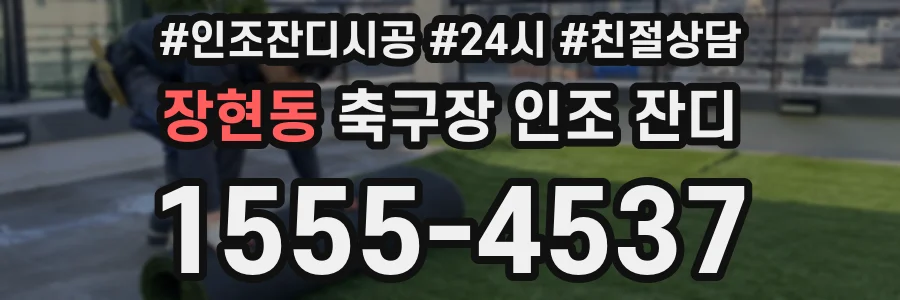 장현동 축구장 인조 잔디