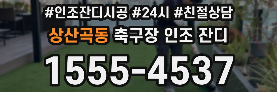 상산곡동 축구장 인조 잔디