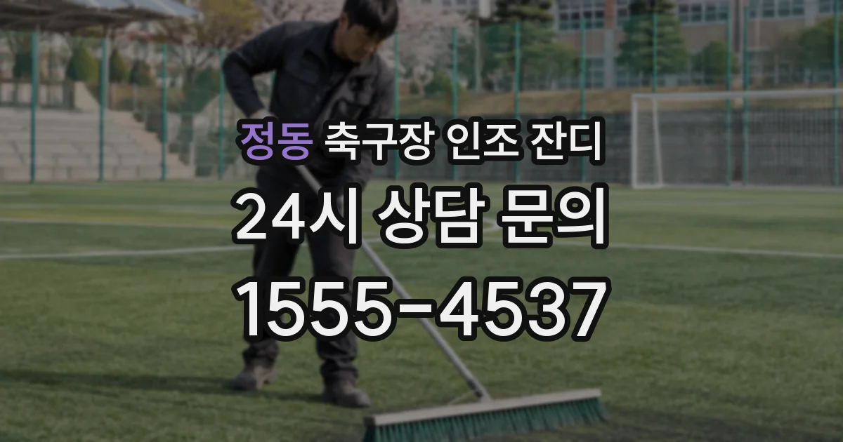 정동 축구장 인조 잔디