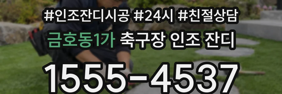 금호동1가 축구장 인조 잔디