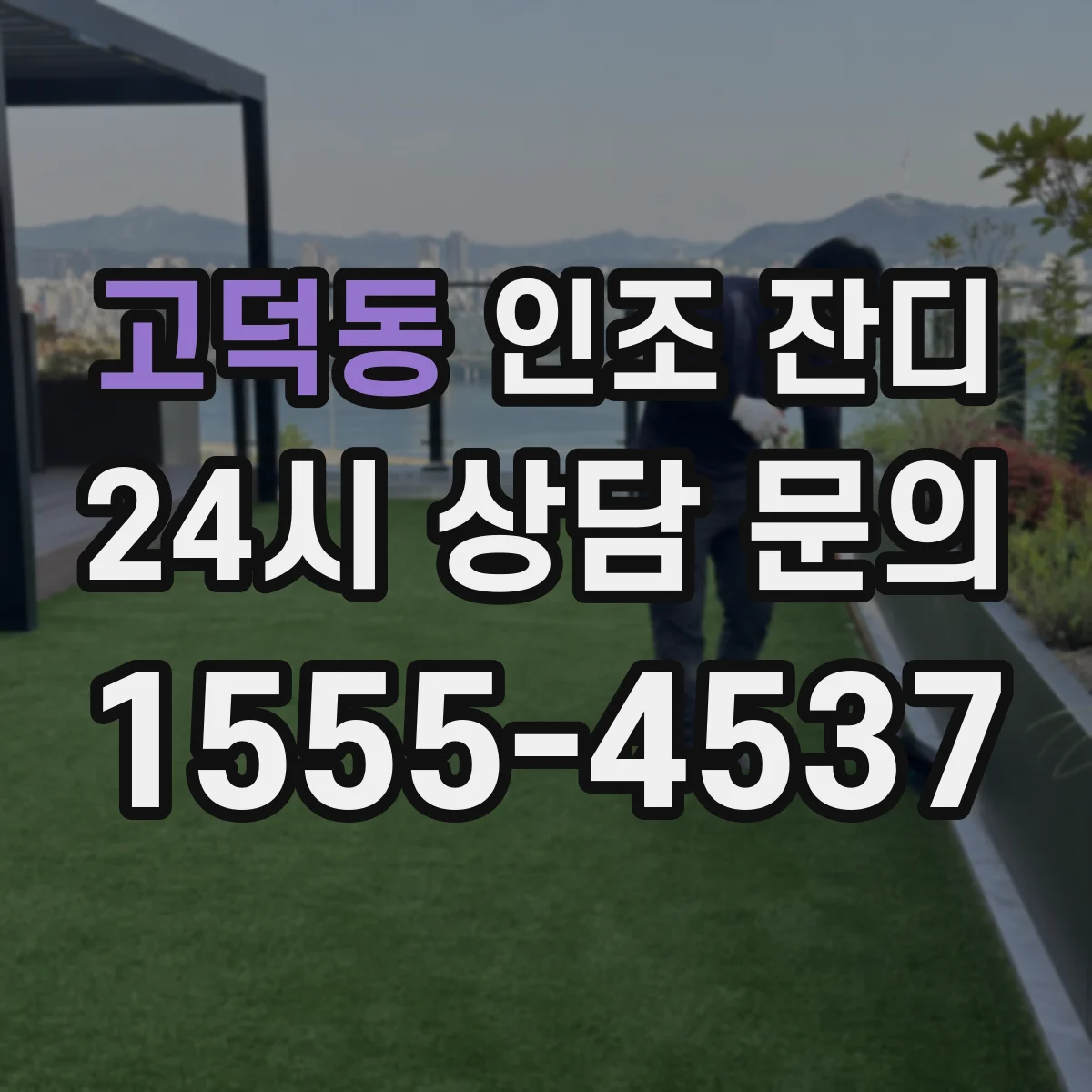 고덕동 인조 잔디