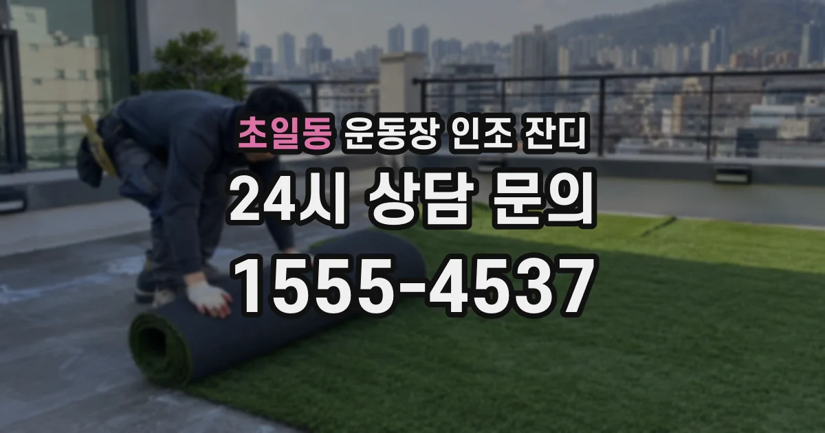 초일동 운동장 인조 잔디